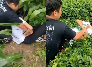 Sex hiếp dâm bạn học